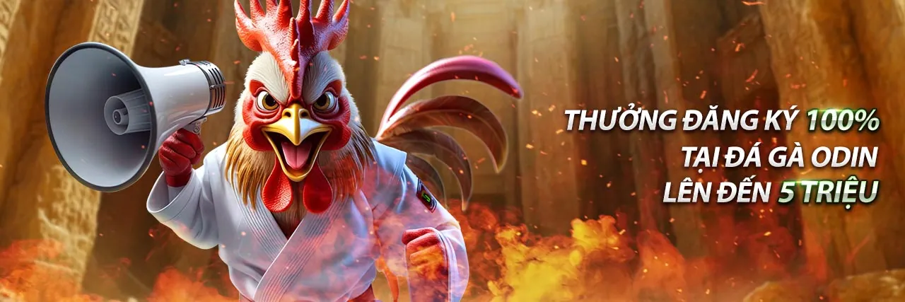 Giao diện đăng nhập Alo8 an toàn và hiện đại